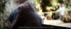 Filename=Case39-SS-JFF-BJ_069.jpg
Filesize=49KiB
Dimensions=624x256
Date added=Sep 06, 2009 Case39-SS-JFF-BJ_069.jpg