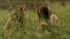 Monster-HDScreencapsBJ_008.jpg